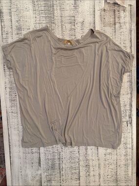 Piko Brand Relaxed Short Sleeve Tee in Light Gray